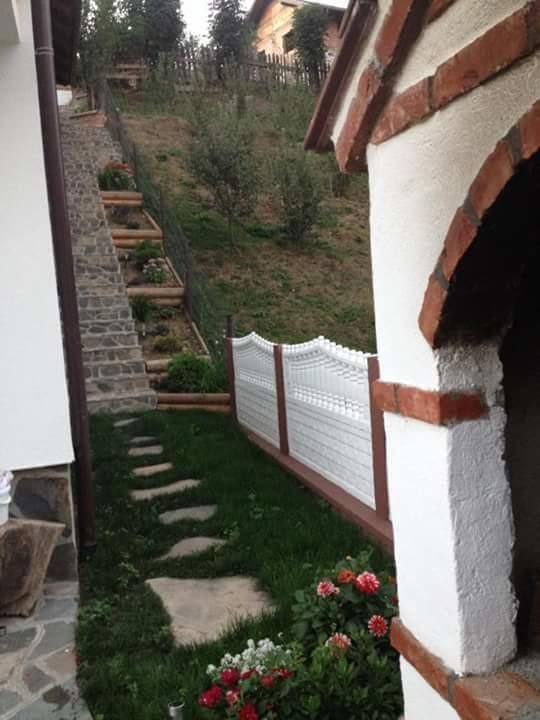 Pensiunea Rustic Borşa Extérieur photo