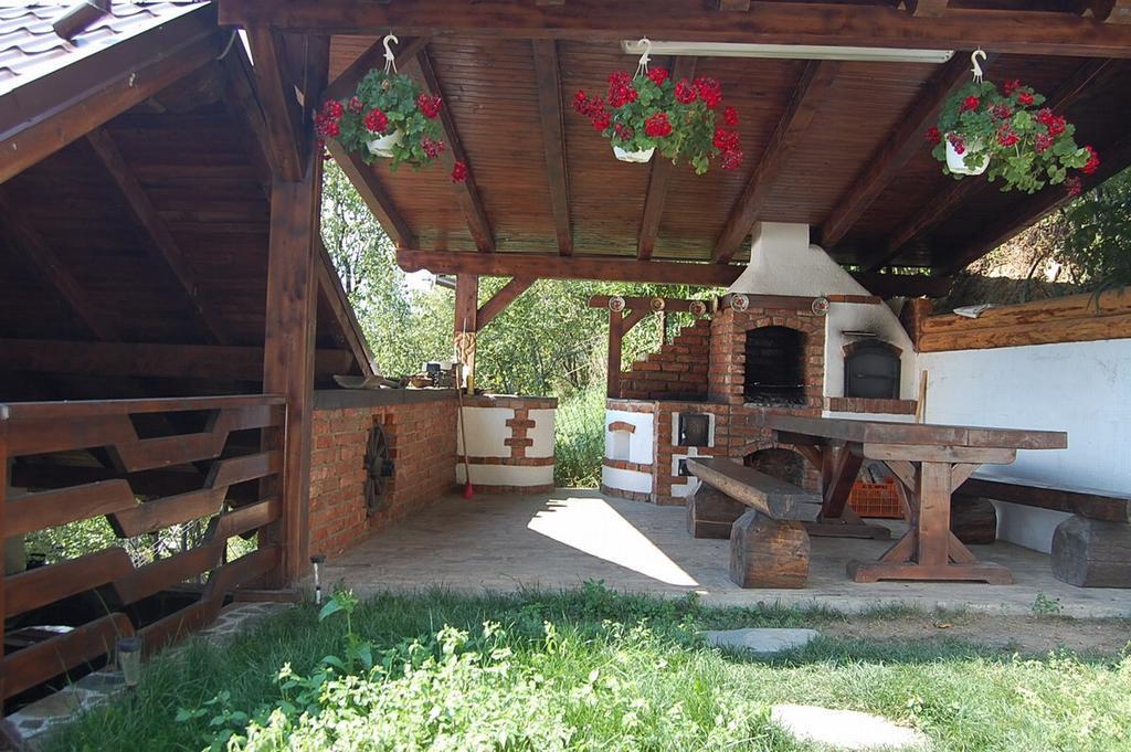 Pensiunea Rustic Borşa Extérieur photo