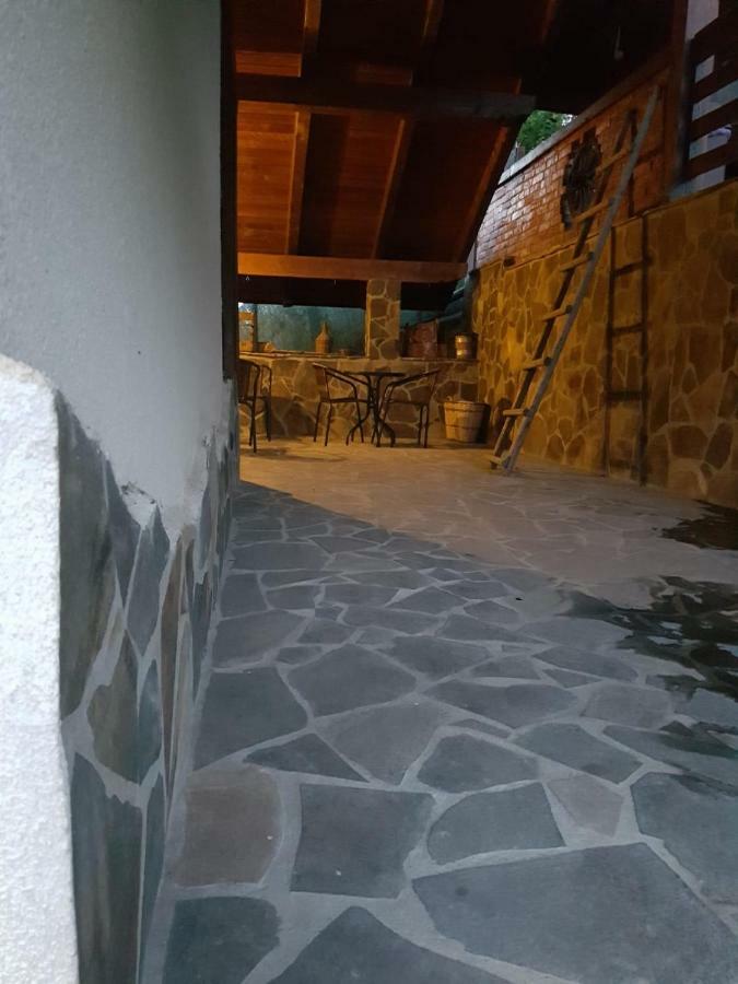 Pensiunea Rustic Borşa Extérieur photo
